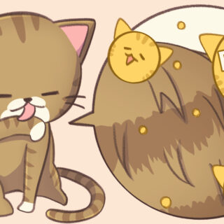 top-image_cat-allergen-feld1-