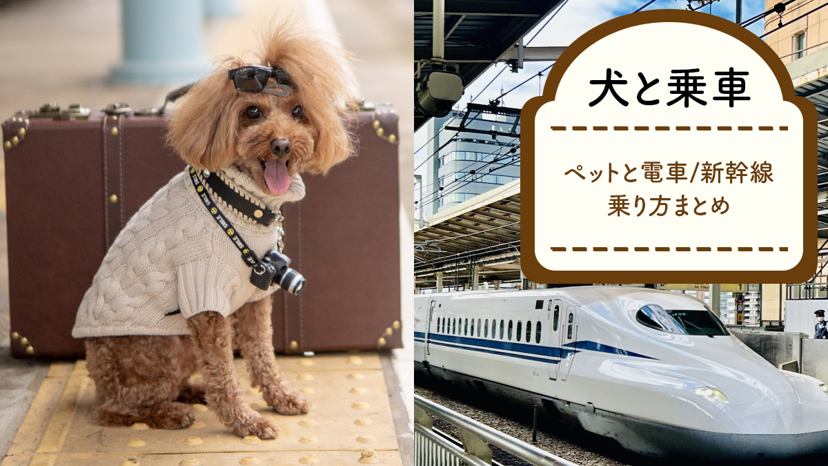 (ペット)犬や猫の【電車/新幹線】乗り方！簡単まとめ《愛犬と旅！》