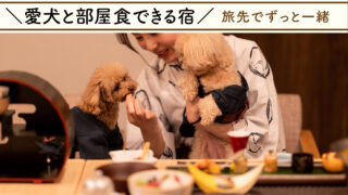 【部屋食できるペット可ホテル】1泊2食付き!愛犬と旅行