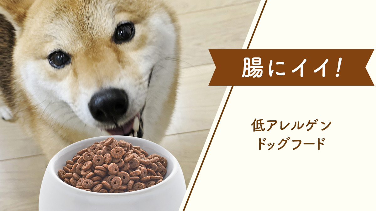 ライフスタイルの変更で炎症性腸疾患を管理する方法