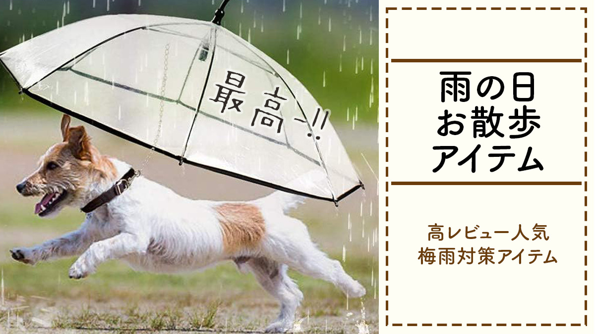 【雨の日の愛犬お散歩は嫌？】高レビュー人気梅雨対策アイテム