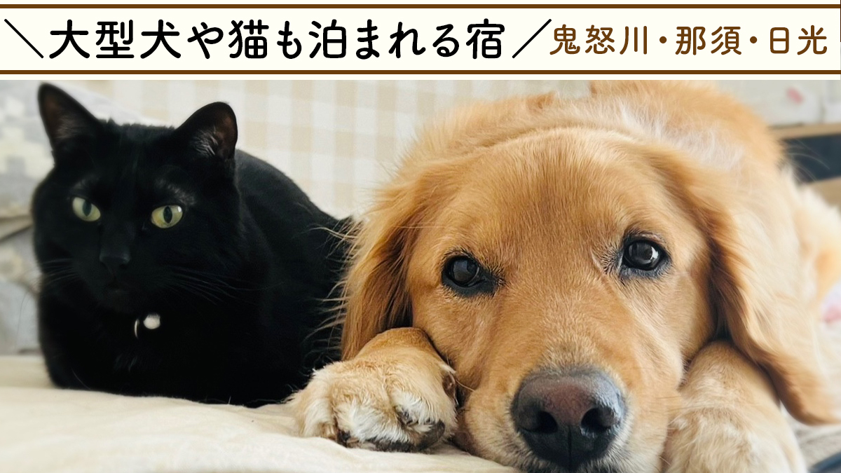 大型犬・猫と泊まれるペットOKホテル【鬼怒川/那須/日光】