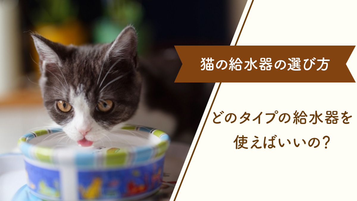 【猫の給水器の選び方】お皿（器・ボウル）、自動給水器、ボトルタイプどれが良いの？