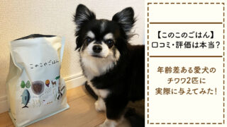 【口コミ・評価は本当？】このこのごはんを年齢差ある愛犬のチワワ2匹に実際に与えてみた！