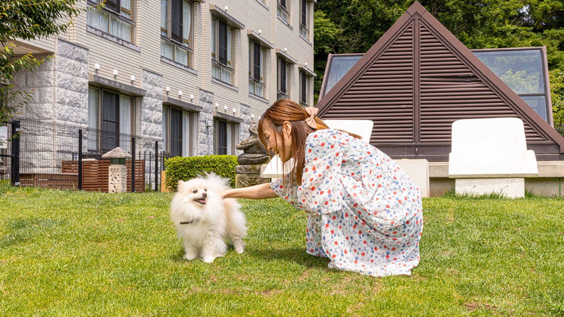 老犬に優しい宿、「愛犬お宿 伊豆高原」のドッグランで愛犬が遊んでいる画像