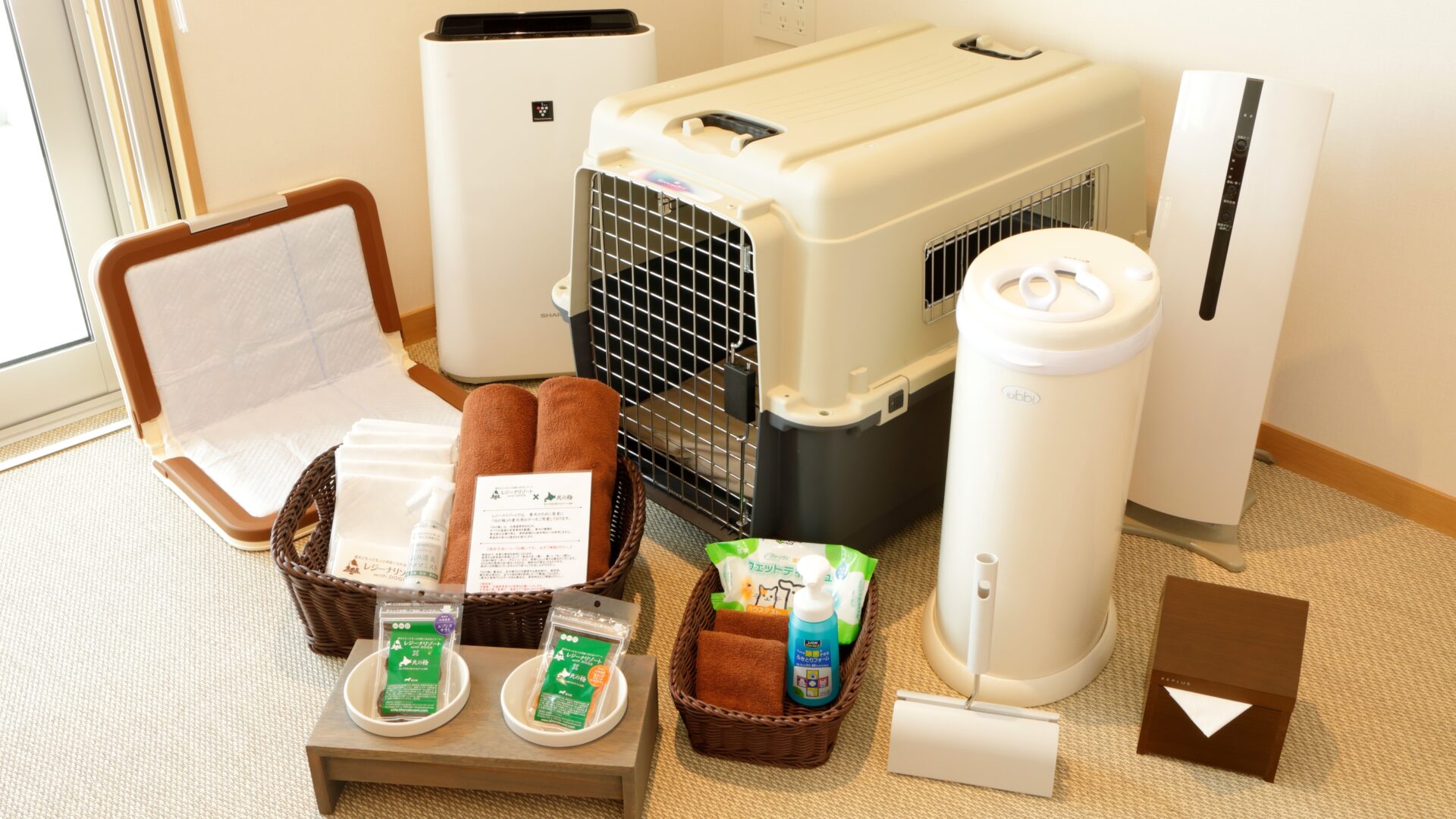 老犬に優しい宿、「レジーナリゾート鴨川-Dog Wellness Beach-」で完備されている犬用のアメニティの画像