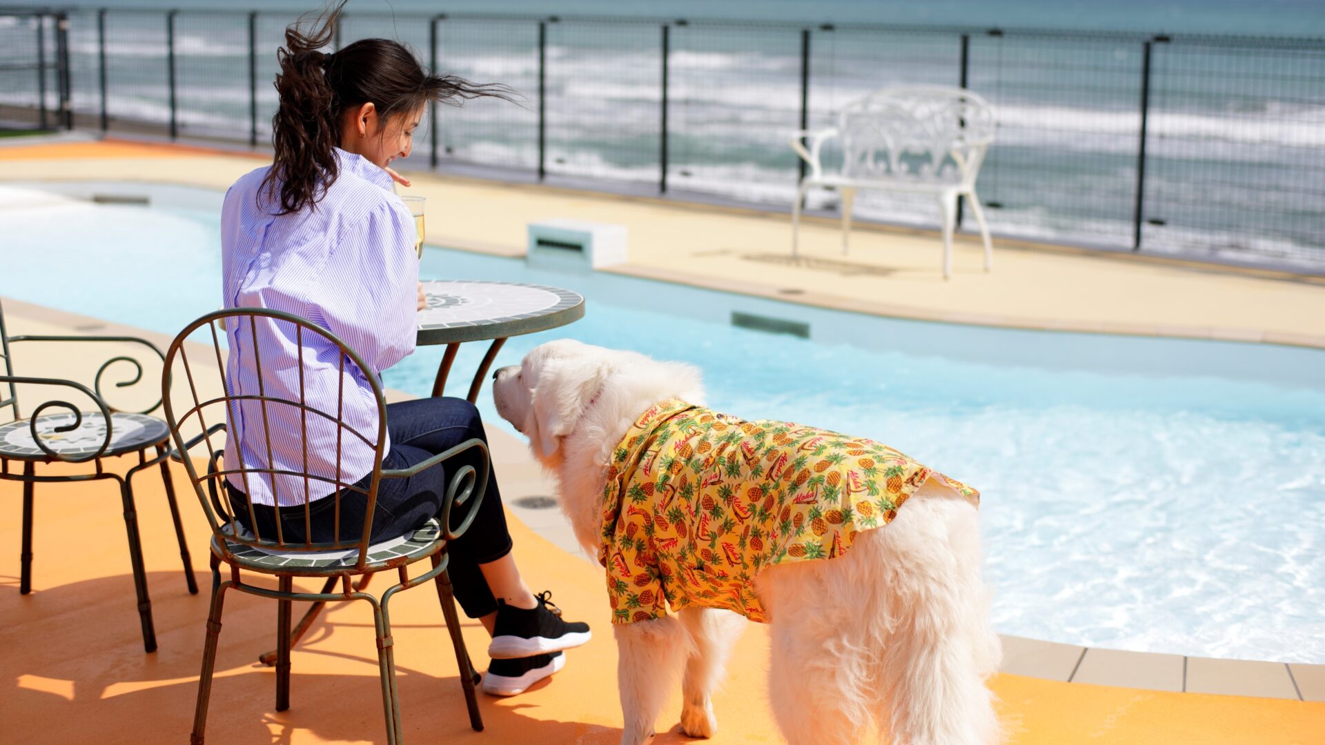 老犬に優しい宿、「レジーナリゾート鴨川-Dog Wellness Beach-」で愛犬とプールを楽しんでいる画像