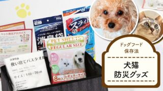 犬猫ペットの防災準備まとめ【地震や台風に備えて】名前入り首輪、ゲージ、防災セット