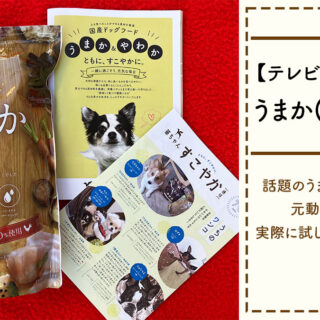 うまか　ドッグフード　UMAKA  6袋 Amazon.co.jp: 華ちゃん犬猫すこやか本舗 うまか ドッグフード