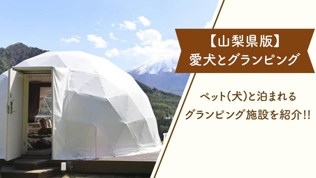 【山梨県版】ペット(犬)と泊まれる、おすすめグランピング施設を紹介!!