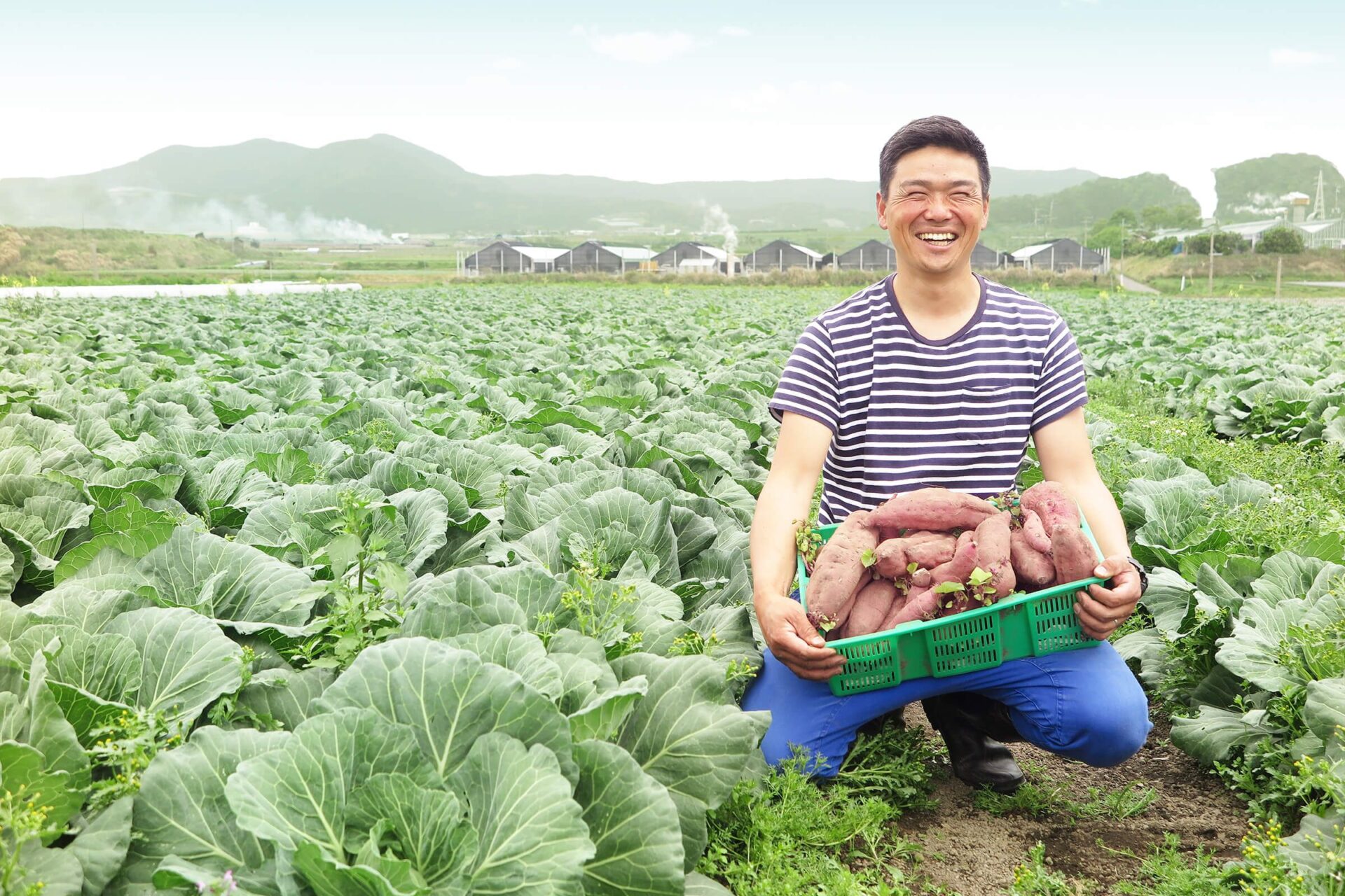 ペトコトフーズ（PETOKOTO FOOD）の食材を紹介している画像