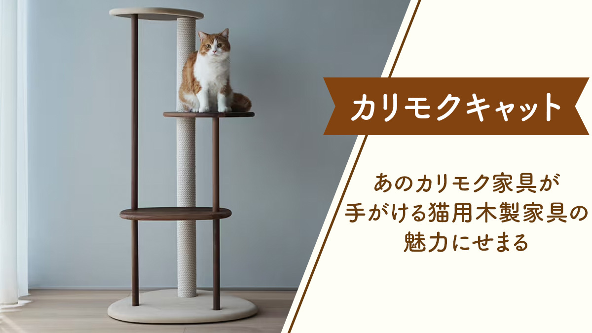 【カリモクキャット】永く愛用できる猫用の木製家具についてせまる