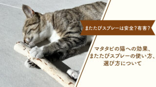 またたびスプレーは安全？有害？猫への効果、正しい使い方、またたびスプレーの選び方について