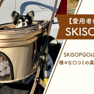 top-image_petcart-skisopgo-1-