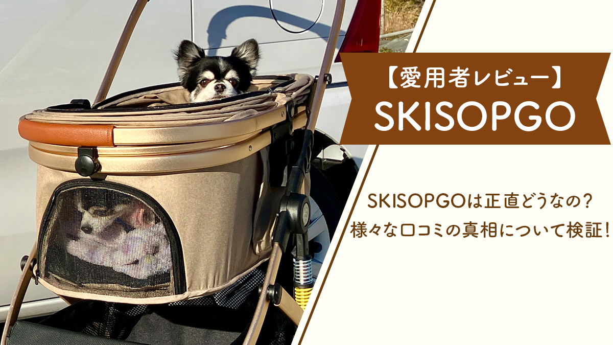 【愛用者レビュー】SKISOPGOは正直どうなの？様々な口コミの真相について検証！