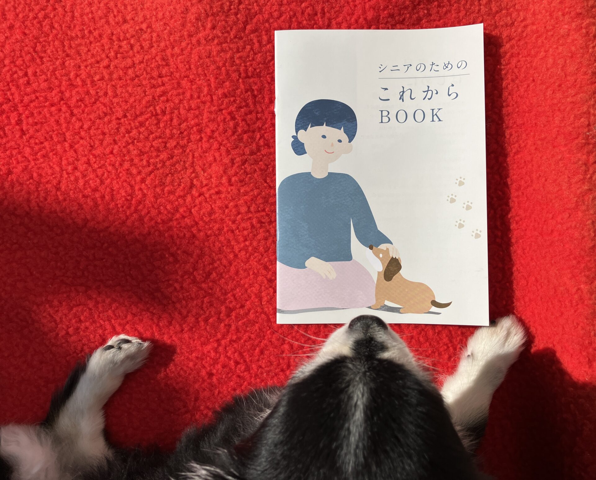 「シニアのためのこのこのごはん」の冊子（シニアのためのこれからBOOK）の表紙の画像