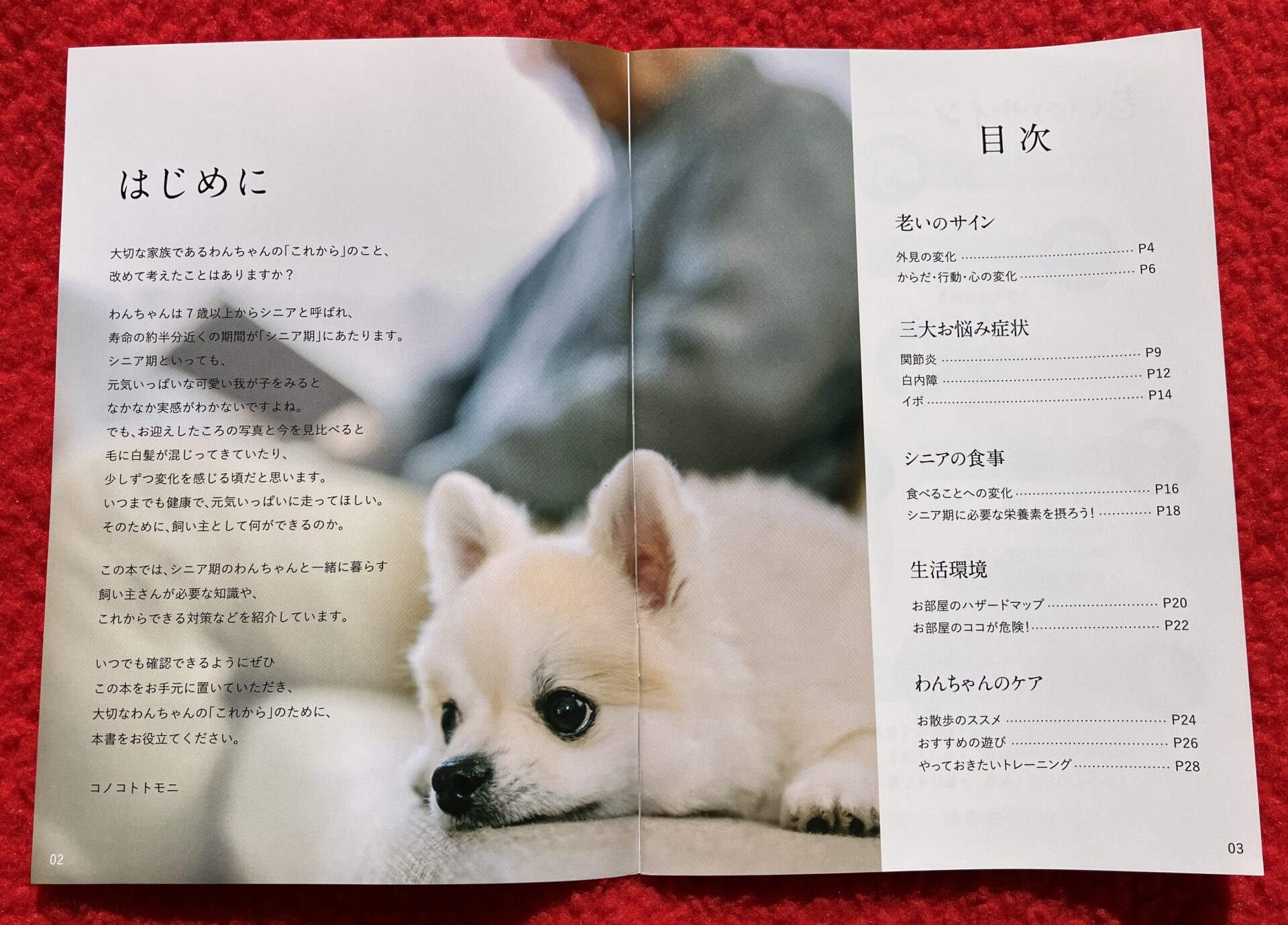 「シニアのためのこのこのごはん」の冊子（シニアのためのこれからBOOK）の目次のページの画像