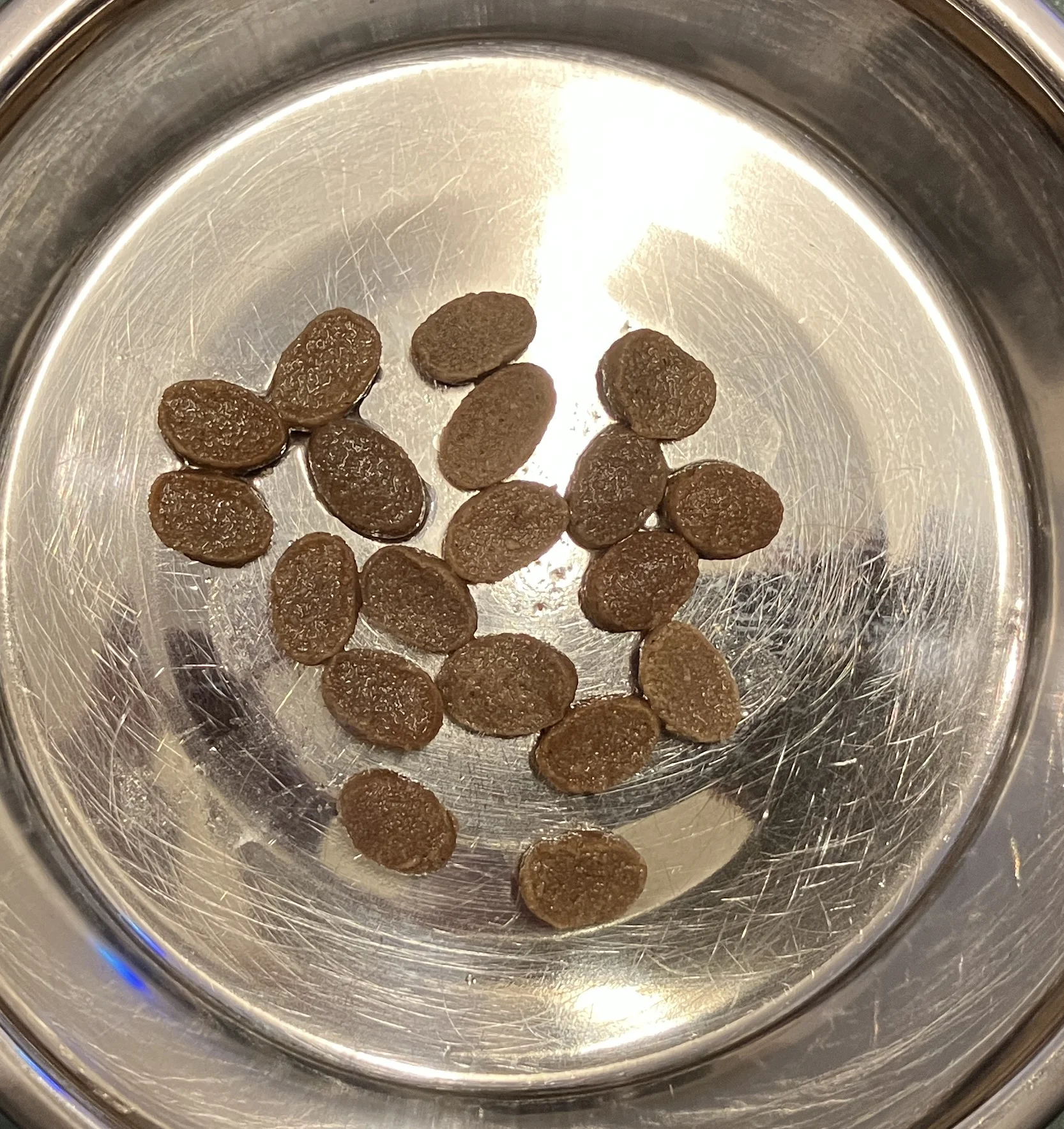 シニア犬用ドッグフード「やわか」をふやかした画像