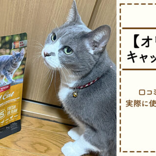 オリジン　キャットフード　オリジナル　ご飯　チキン　猫 オリジン キャットフード オリジナル ご飯 チキン 猫 キャットフード