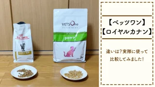 【ベッツワン】【ロイヤルカナン】違いは？実際に使って比較してみました！