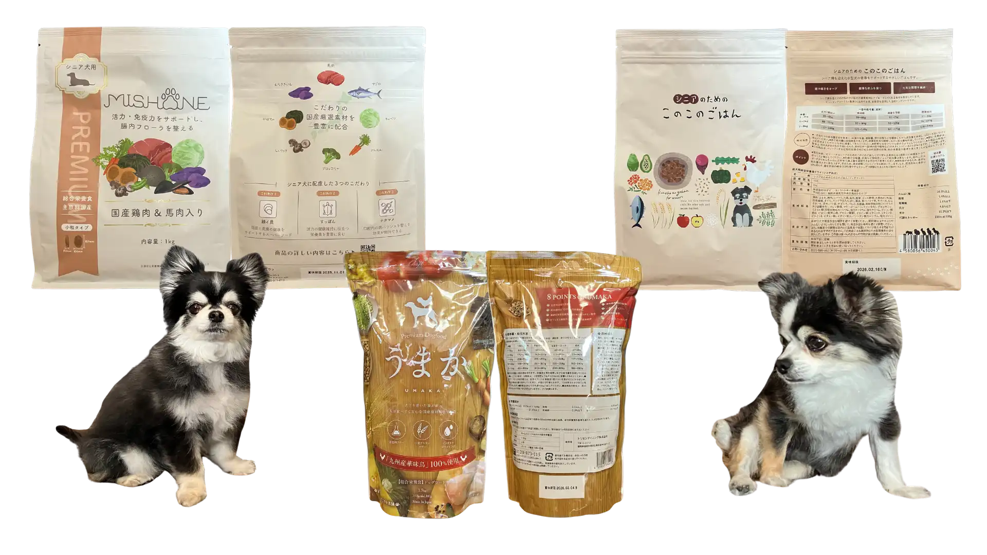 シニア犬にオススメのドッグフード「ミシュワンシニア」「うまか」「シニアのためのこのこのごはん」のパッケージと、11歳のシニア犬チワワの紅丸ちゃんと乱丸くんが一緒に写っている画像