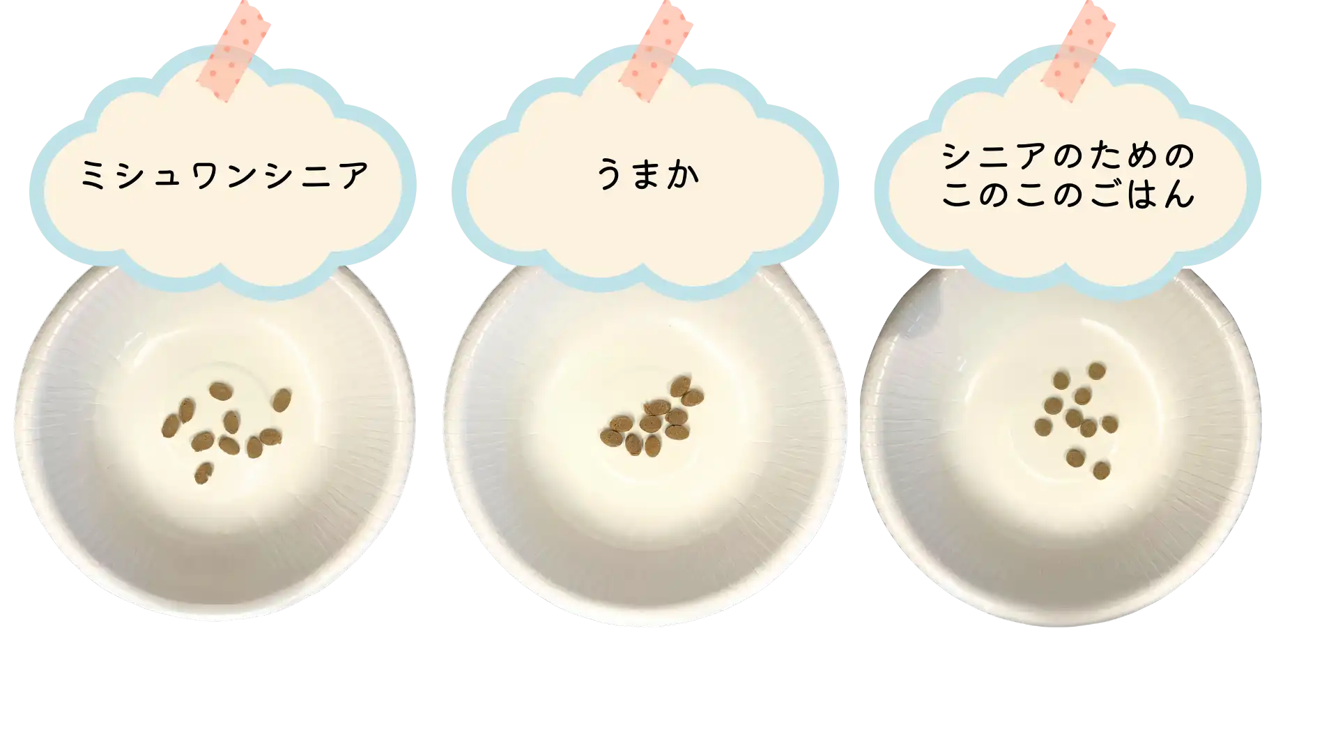 「ミシュワンシニア」「うまか」「シニアのためのこのこのごはん」食べ比べ用にフードボウルにフードを載せている画像