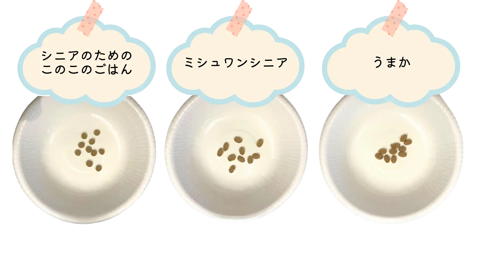 「ミシュワンシニア」「うまか」「シニアのためのこのこのごはん」食べ比べ用にフードボウルにフードを載せている画像