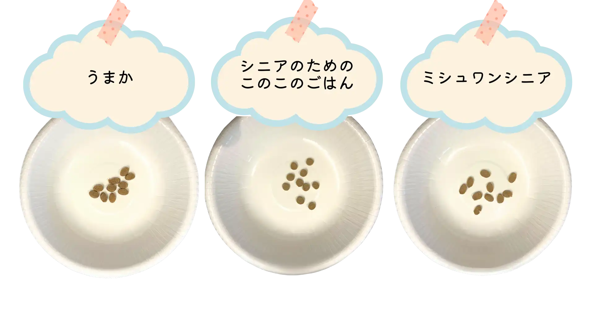 「ミシュワンシニア」「うまか」「シニアのためのこのこのごはん」食べ比べ用にフードボウルにフードを載せている画像