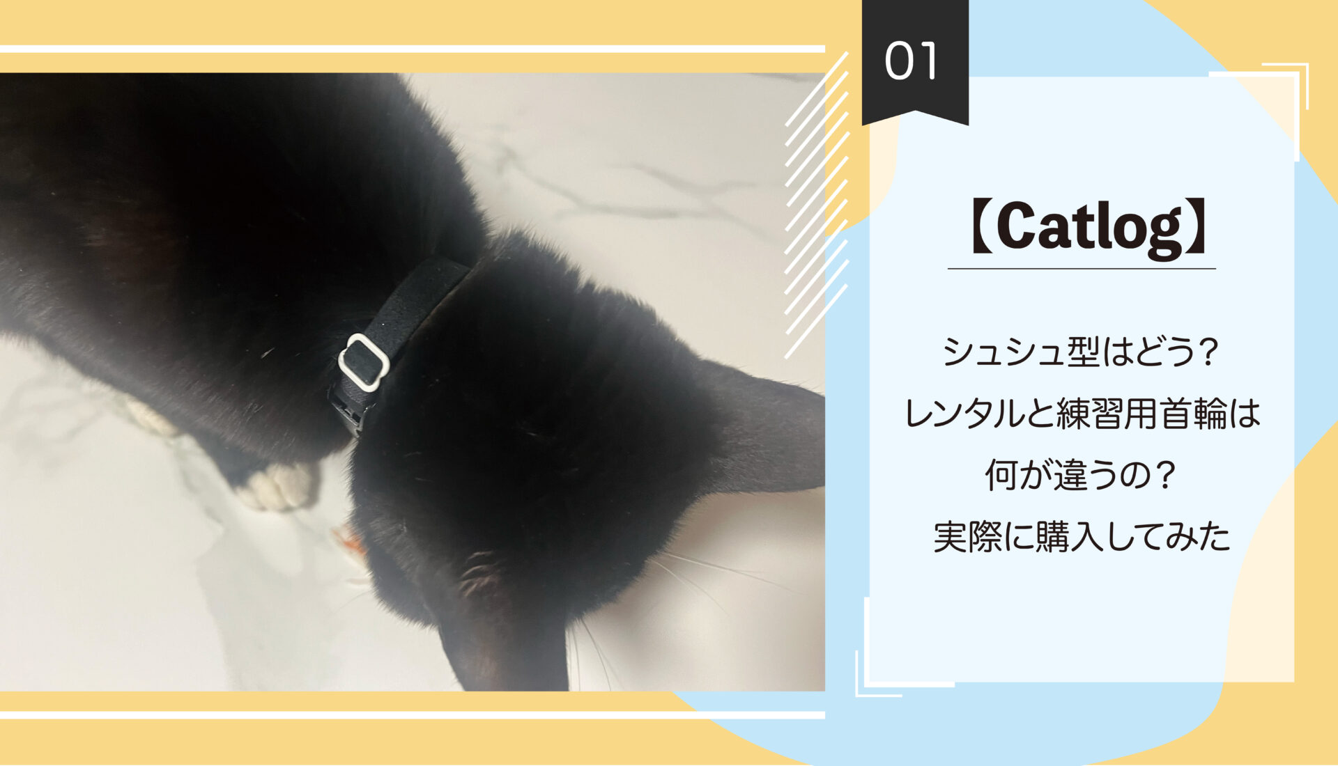 【Catlog】シュシュ型はどう？レンタルと練習用首輪の違いは？実際に購入してみた