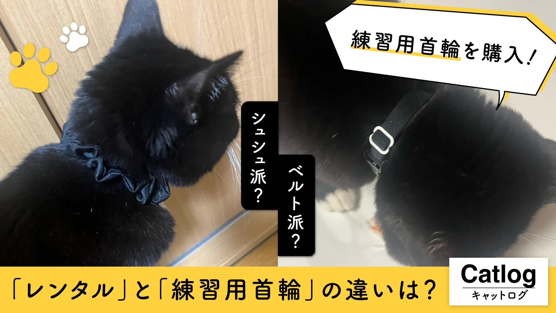 【Catlog】レンタルは高い？990円の練習用首輪を実際に購入してみた