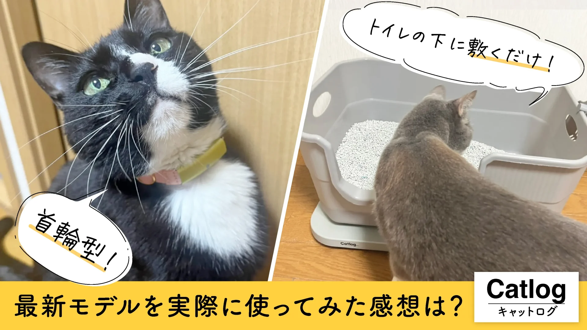 【Catlog2】最新モデルの口コミは？実際に使ってみた感想・メリット・デメリットをご紹介します！