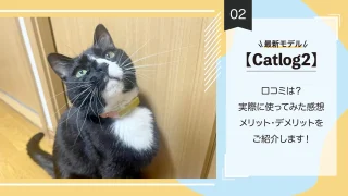 【Catlog】最新モデルの口コミは？実際に使ってみた感想・メリット・デメリットをご紹介します！