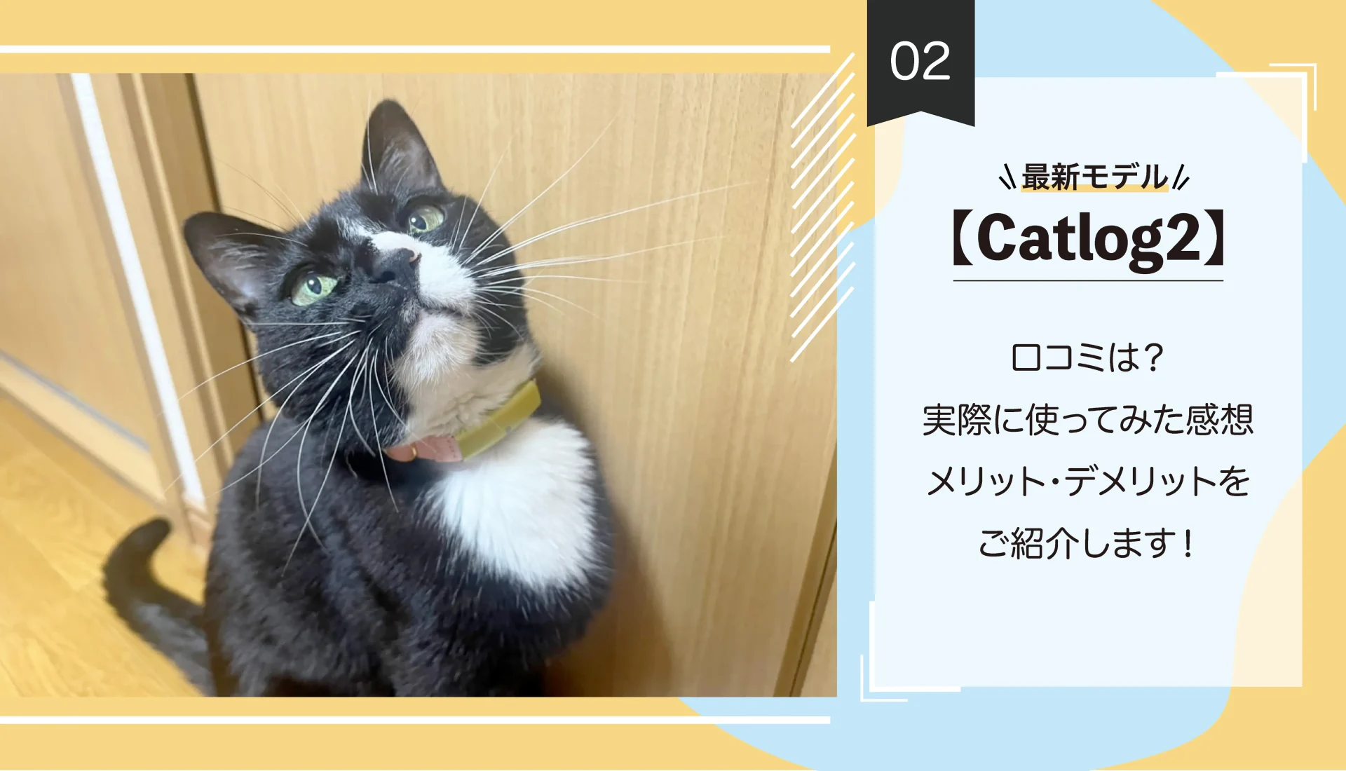 【最新モデルCatlog2】口コミは？実際に使ってみた感想・メリット・デメリットをご紹介します！