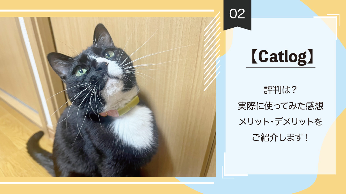 【Catlog】評判は？実際に使ってみた感想・メリット・デメリットをご紹介します！