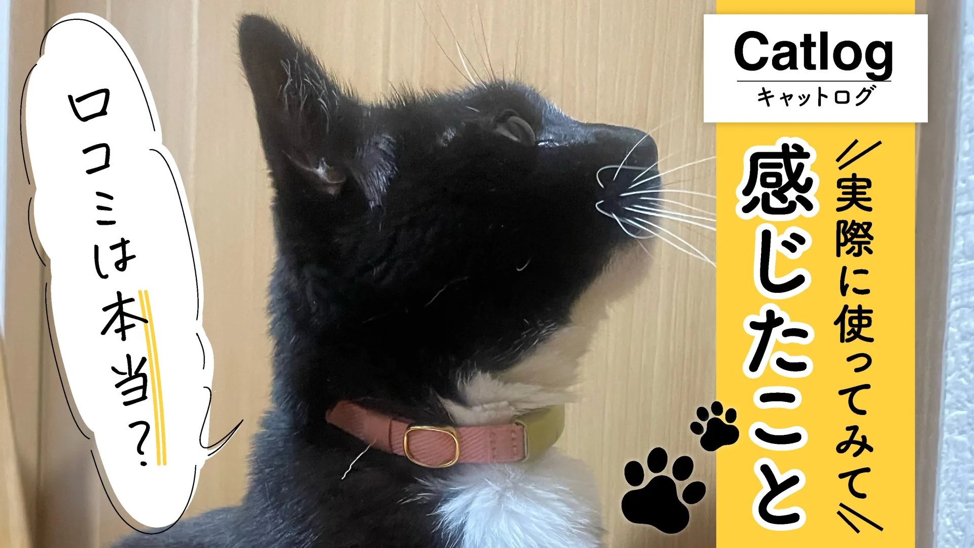 【Catlog】口コミは本当？実際に使って感じたこと。