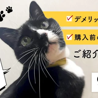 Catlog】デメリット・購入前に確認してほしいことをご紹介します
