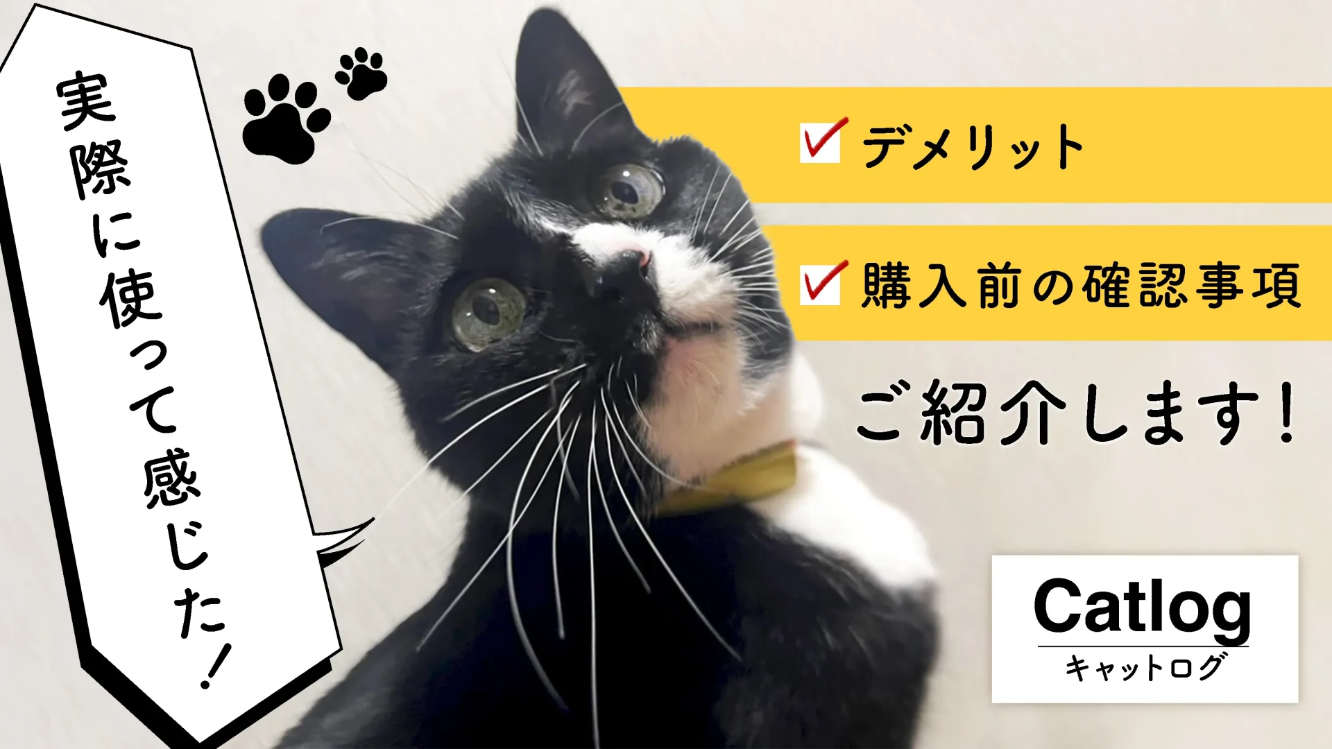【Catlog】デメリット・購入前に確認してほしいことをご紹介します！