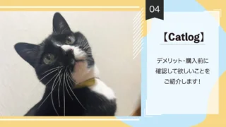 【Catlog】デメリット・購入前に確認してほしいことをご紹介します!