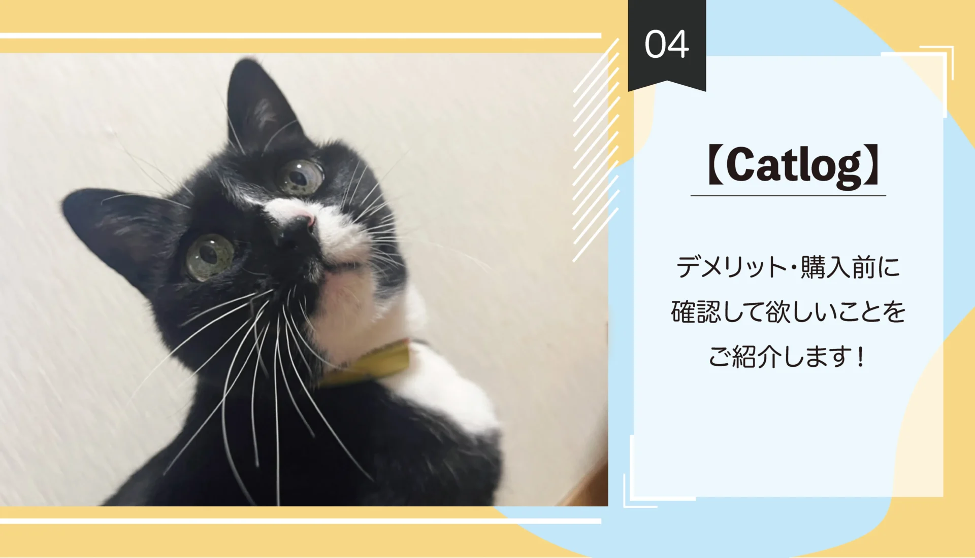 【Catlog】デメリット・購入前に確認してほしいことをご紹介します！