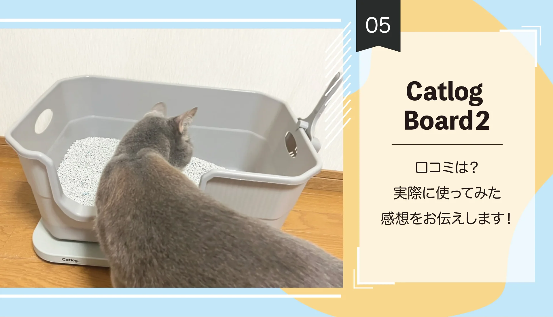 【Catlog Board２】口コミは？実際に使ってみた感想をお伝えします！