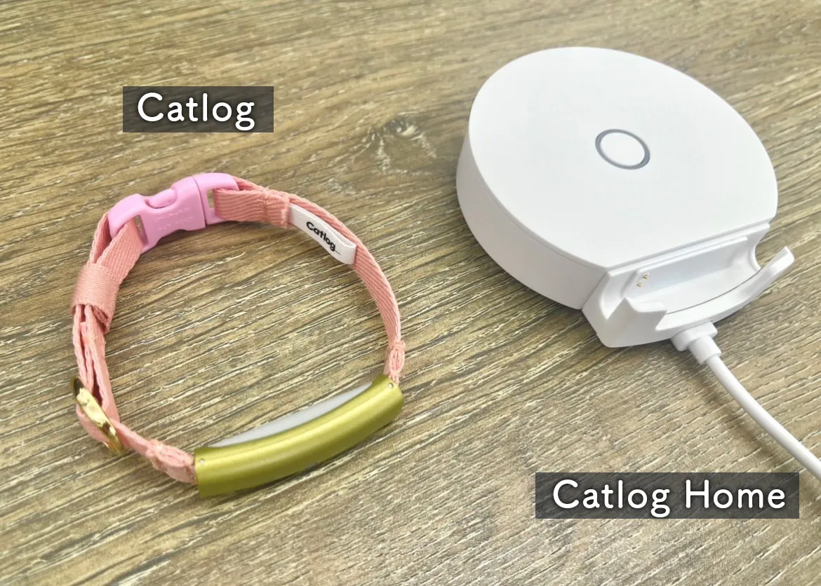 「Catlog」と「Catlog Home」の写真