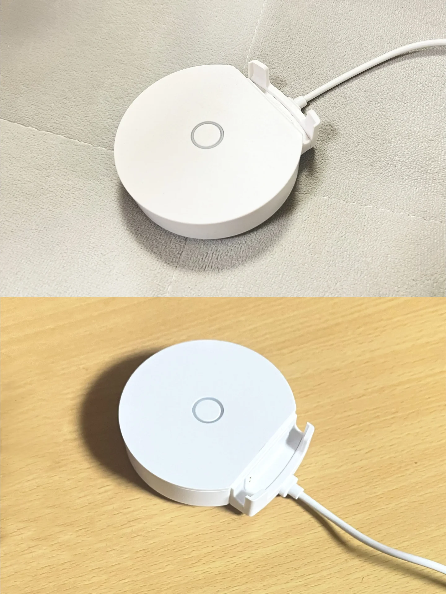 Catlog Homeがそれぞれ設置されている写真