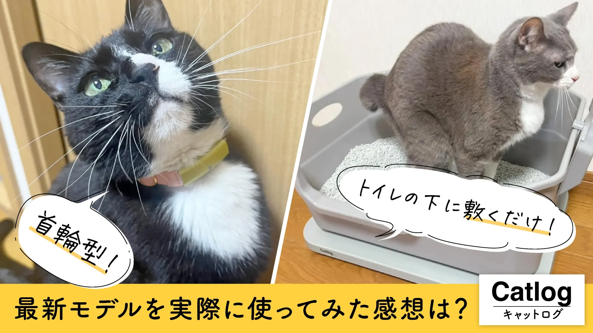 【Catlog2】最新モデルの口コミは？実際に使ってみた感想・メリット・デメリットをご紹介します！