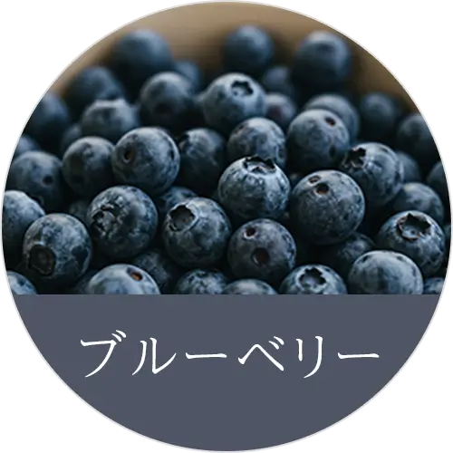 ブルーベリーの画像(グランツ公式サイトから引用)