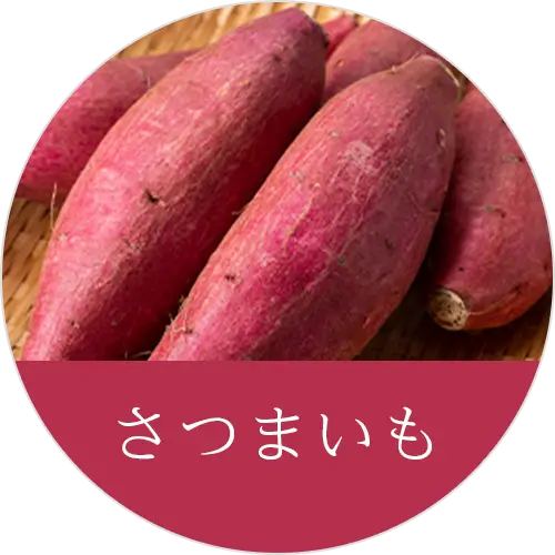 さつまいもの画像(グランツ公式サイトから引用)