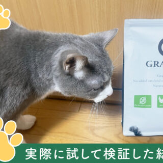 グランツ キャットフード】口コミ評判は？お試しセットを愛猫2匹に試し