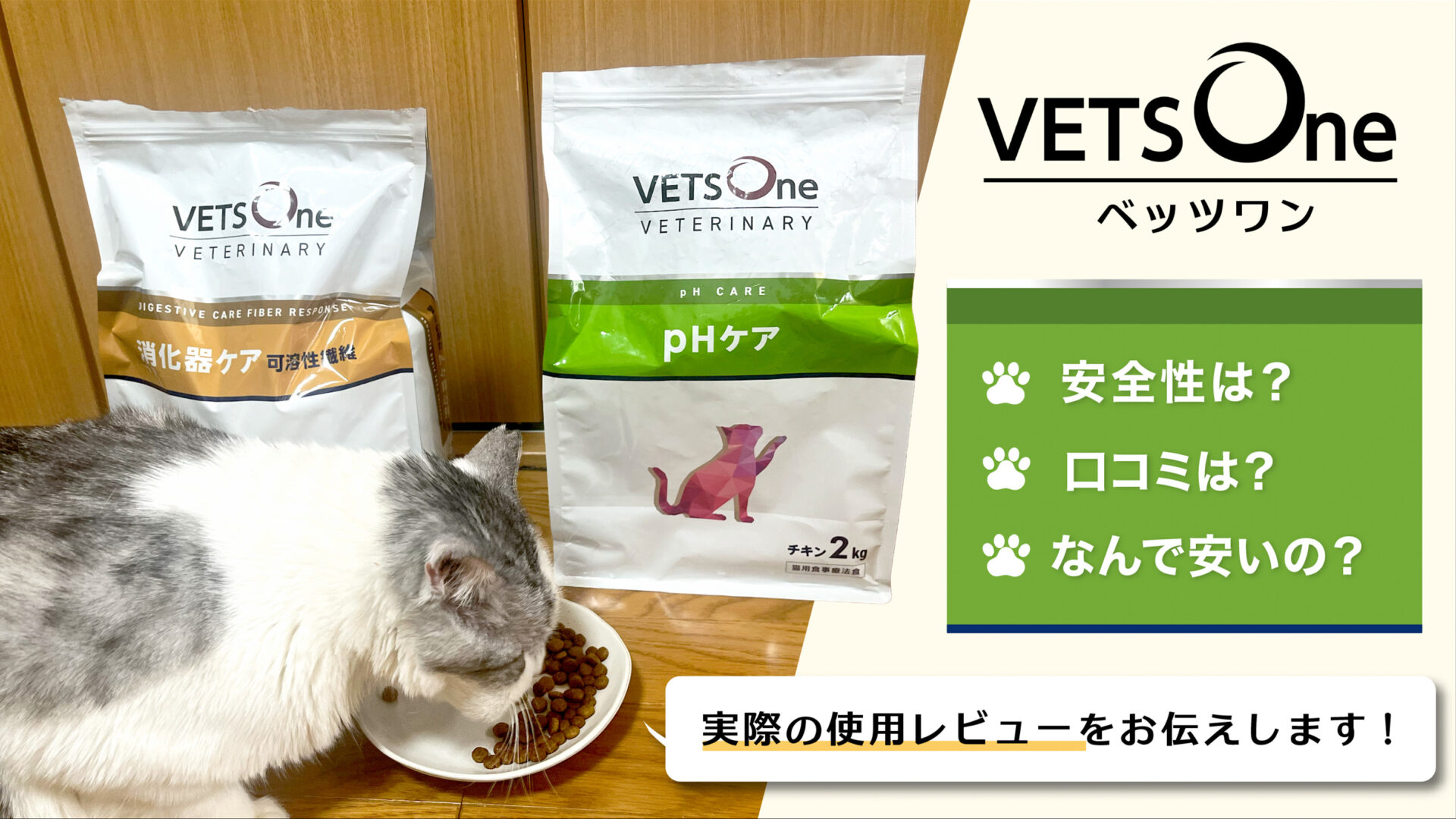 【ベッツワン】猫用の安全性は？実際に試してみた口コミもお伝えします！