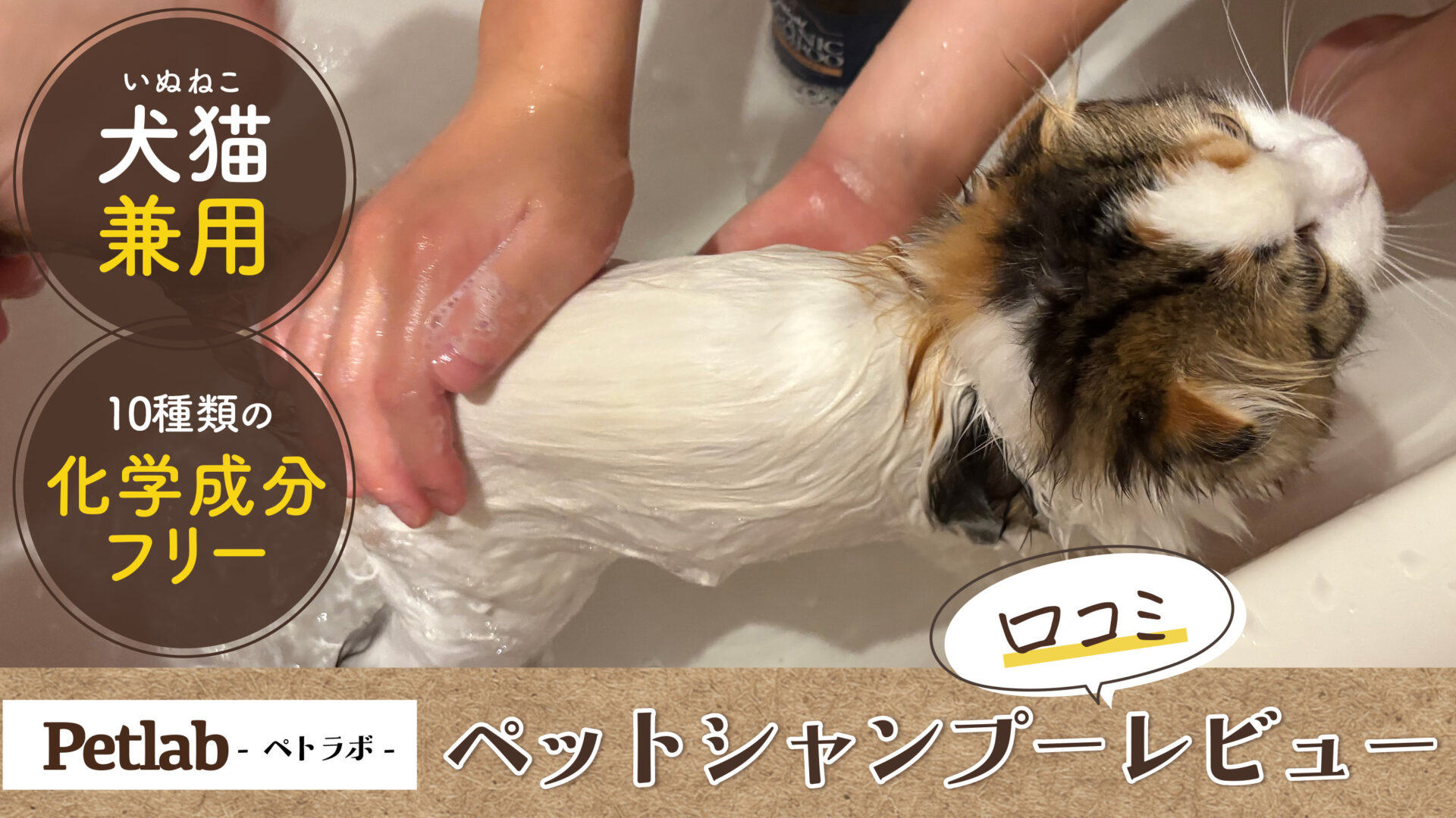 【Petlab（ペトラボ）】口コミで話題のシャンプーを体験。犬猫兼用、10種類の化学成分フリーで低刺激オーガニック仕様